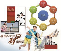 家電定制 撬動(dòng)家用電器互聯(lián)網(wǎng)銷售的個(gè)性化營(yíng)銷新引擎